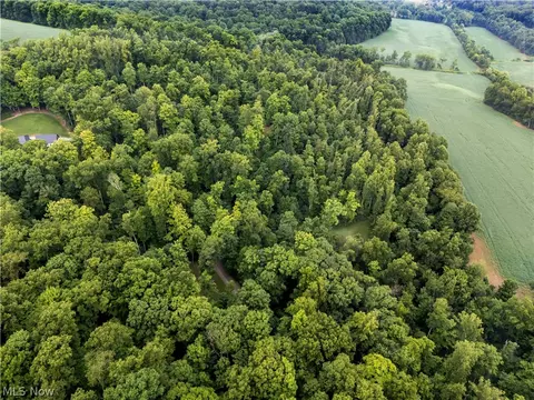 View/Area - 0 Township Road 252, Killbuck, OH 44637 photo 5 of 5