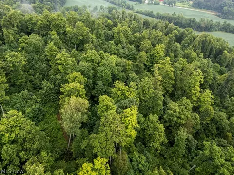 View/Area - 0 Township Road 252, Killbuck, OH 44637 photo 4 of 5