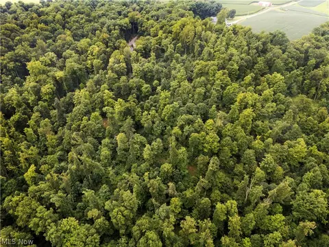 View/Area - 0 Township Road 252, Killbuck, OH 44637 photo 3 of 5