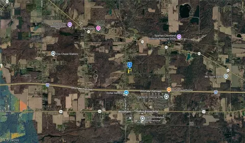 9505 Wolfe Rd, Windham, OH 44288 photo 4