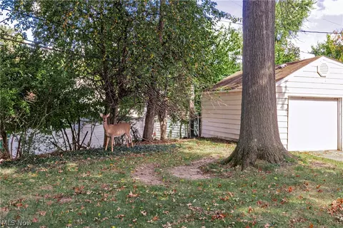 Exterior - 16897 Mapleboro Ave, Maple Heights, OH 44137 photo 4 of 9