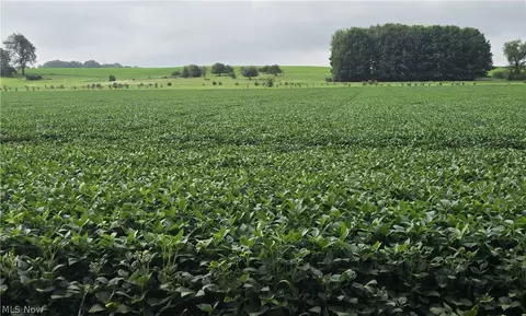 Goudy Road, Orrville, OH 44667
