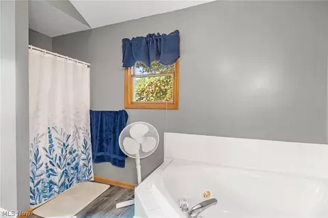 Bath - 40450 Parsons Rd, Lagrange, OH 44050 photo 3 of 5