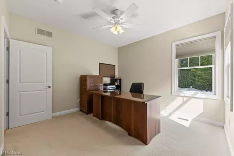 6595 Buffham Rd, Seville, OH 44273 photo 33