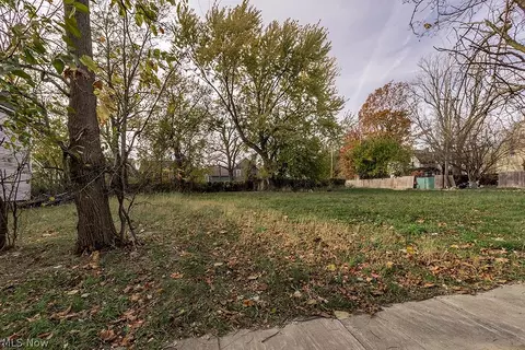 1246 E 102nd St, Cleveland, OH 44108