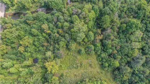 Vl Risher Road, Warren, OH 44481 photo 3
