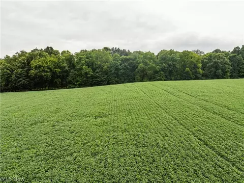 Other - 2428 Applegate Rd, Lucas, OH 44843 photo 9 of 13