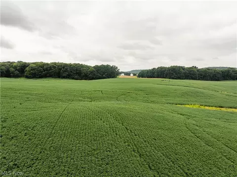 Other - 2428 Applegate Rd, Lucas, OH 44843 photo 10 of 13