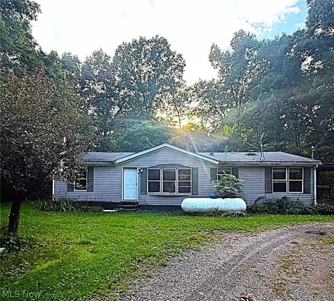 16786 Roses Run Rd, Salineville, OH 43945