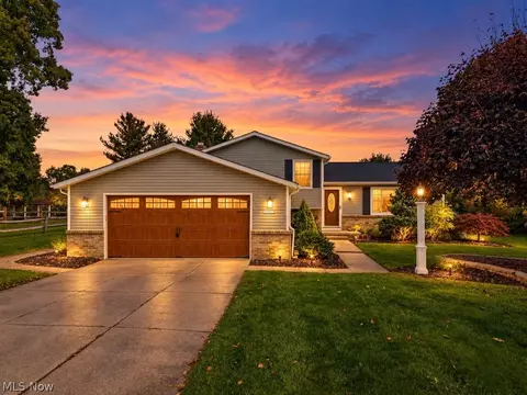 10007 Patton St, Twinsburg, OH 44087