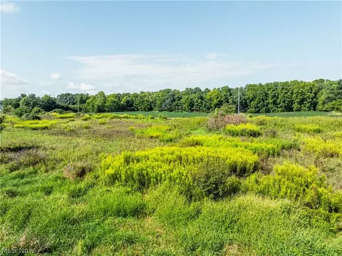 Webster Road, Centerburg, OH 43011