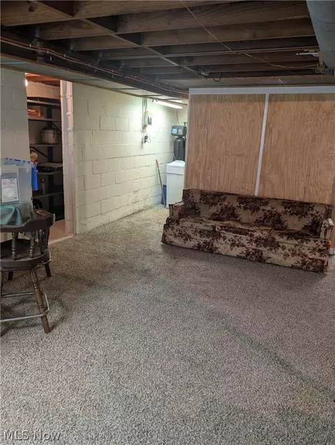 Other - 313 E Line St, Minerva, OH 44657 photo 10 of 11