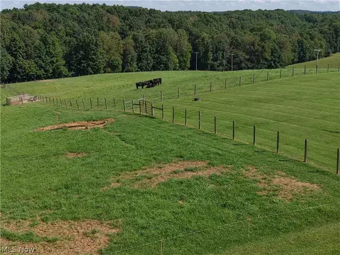Other - 56965 Stumptown School Rd, Jerusalem, OH 43747 photo 13 of 16