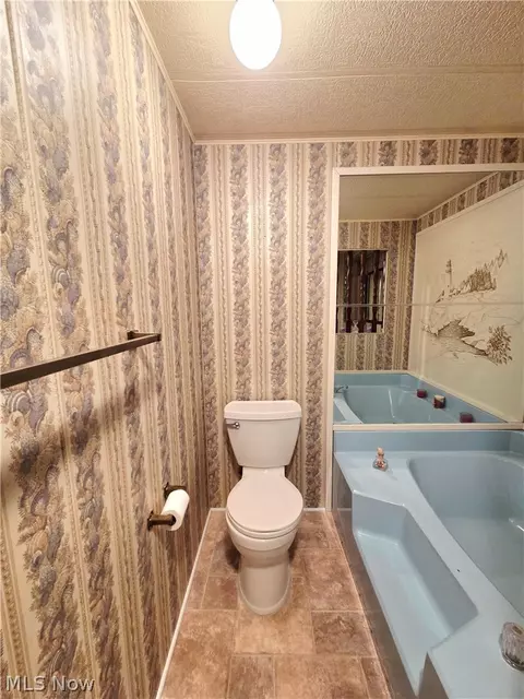 Bath - 105 Virginia Ave, Elyria, OH 44035 photo 4 of 4