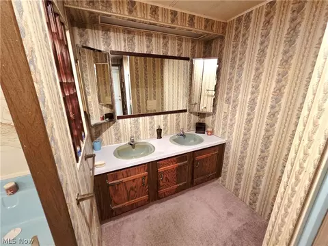 Bath - 105 Virginia Ave, Elyria, OH 44035 photo 1 of 4