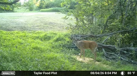 Taylor Road, Dennison, OH 44621 photo 42