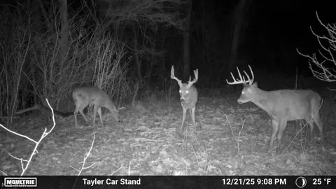 Taylor Road, Dennison, OH 44621 photo 38