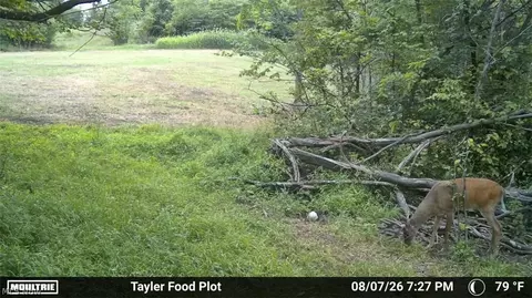 Taylor Road, Dennison, OH 44621 photo 43
