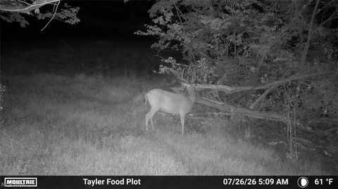 Taylor Road, Dennison, OH 44621 photo 41