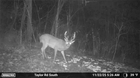 Taylor Road, Dennison, OH 44621 photo 48