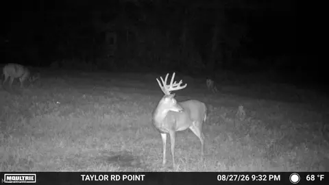 Taylor Road, Dennison, OH 44621 photo 46