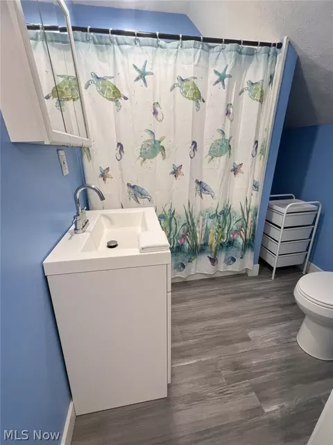 Bath - 29 Gertrude Ave, Boardman, OH 44512 photo 1 of 2