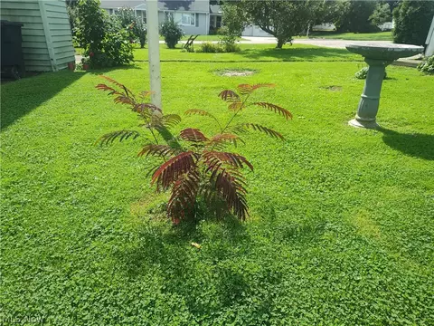 Exterior - 6005 Hillcrest Ave, Ashtabula, OH 44004 photo 12 of 18
