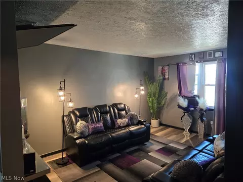Living - 80 Omar St, Struthers, OH 44471 photo 2 of 2