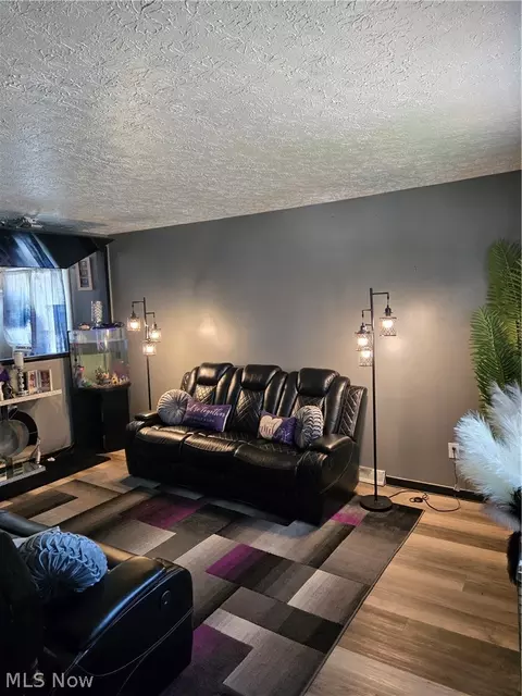 Living - 80 Omar St, Struthers, OH 44471 photo 1 of 2