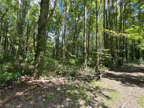 Other - 9231 Horn Rd, Windham, OH 44288 photo 6 of 6