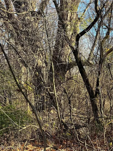 Oberlin Road, Elyria, OH 44035 photo 6