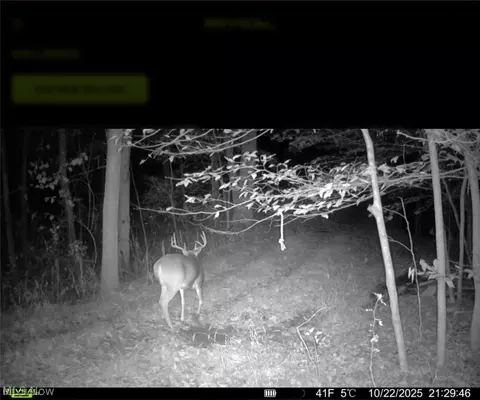 Tr 68, Dresden, OH 43821 photo 14
