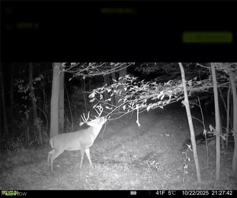 Tr 68, Dresden, OH 43821 photo 13