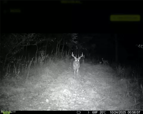 Tr 68, Dresden, OH 43821 photo 11