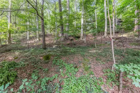 Exterior - 4723 Everett Rd, Richfield, OH 44286 photo 3 of 10