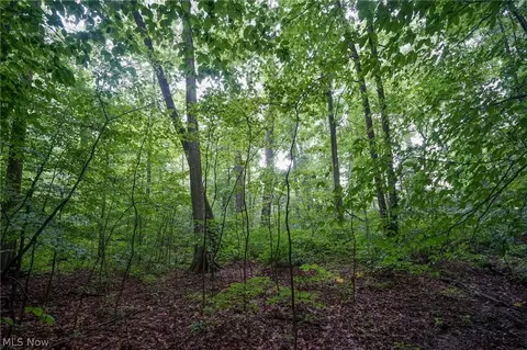 Duncanson Rd, Sinking Spring, OH 45172 photo 26