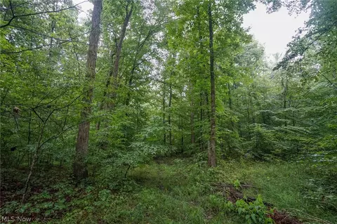 Duncanson Rd, Sinking Spring, OH 45172 photo 19