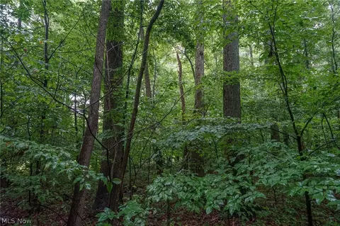 Duncanson Rd, Sinking Spring, OH 45172 photo 48