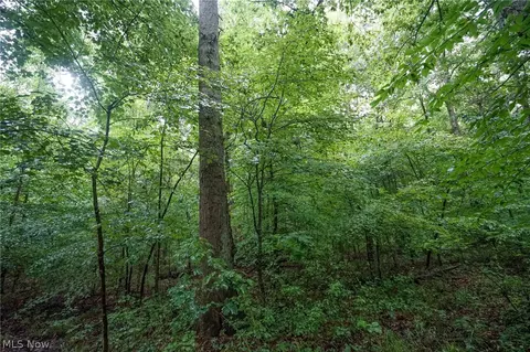 Duncanson Rd, Sinking Spring, OH 45172 photo 10