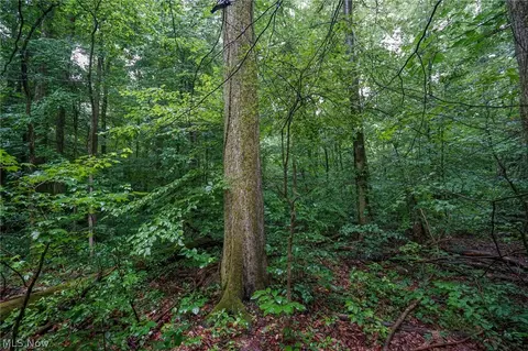 Duncanson Rd, Sinking Spring, OH 45172 photo 38