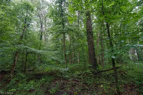 Duncanson Rd, Sinking Spring, OH 45172 photo 12