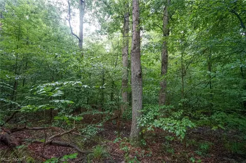 Duncanson Rd, Sinking Spring, OH 45172 photo 9