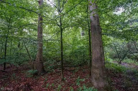 Duncanson Rd, Sinking Spring, OH 45172 photo 43