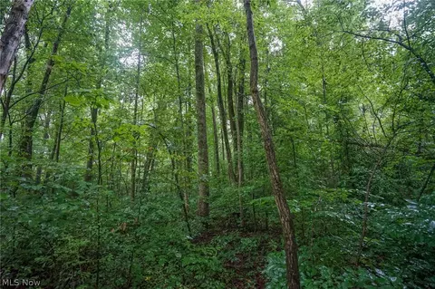 Duncanson Rd, Sinking Spring, OH 45172 photo 31
