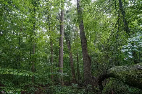 Duncanson Rd, Sinking Spring, OH 45172 photo 20