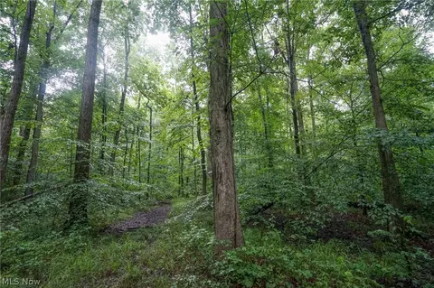 Duncanson Rd, Sinking Spring, OH 45172 photo 13