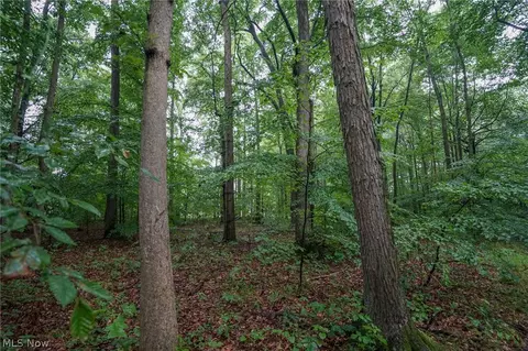 Duncanson Rd, Sinking Spring, OH 45172 photo 44
