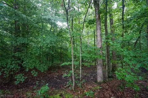 Duncanson Rd, Sinking Spring, OH 45172 photo 7