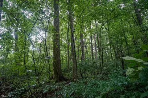 Duncanson Rd, Sinking Spring, OH 45172 photo 29