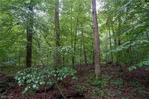 Duncanson Rd, Sinking Spring, OH 45172 photo 16